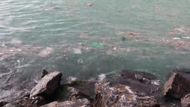 Soiled Waves Rocky Shoreline Istanbul Close — Video Stock