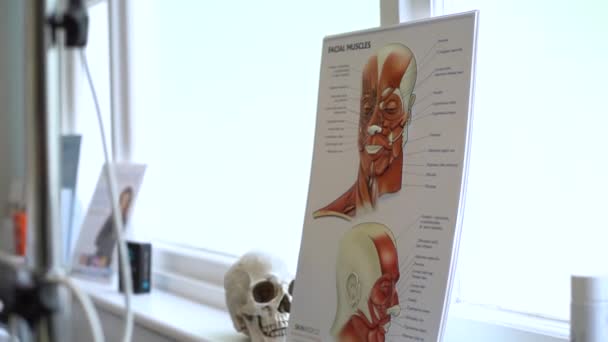 Arcizom Emberi Arc Anatómia Dekoráció Kozmetikus Irodájában — Stock videók