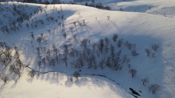 Hills Covered Snow Sunset Sunrise Mountain Trees All Snowy White — Stockvideo