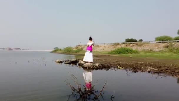 Een Bharatnatyam Danser Weergeven Van Een Klassieke Bharatnatyam Poseren Natuur — Stockvideo