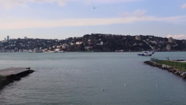 Seagulls Swimming Bosphorus Strait Sailing Boat Rumelihisari Rumelian Castle Uskudar — Stockvideo