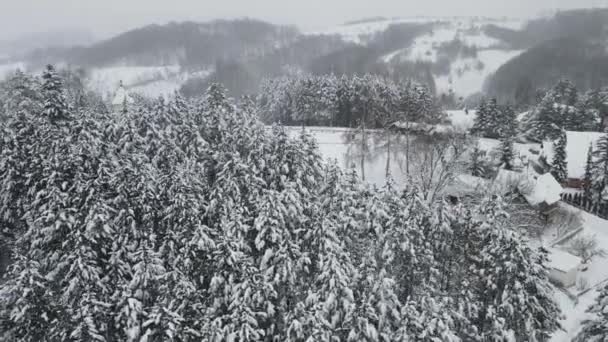 Tops Snow Covered Pines Town Church Snow Falling — Stock Video