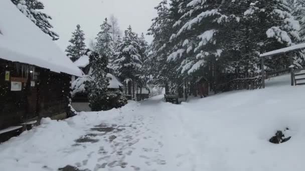 Neve Está Caindo Drone Voa Sob Árvores Perto Cabines Cobertas — Vídeo de Stock