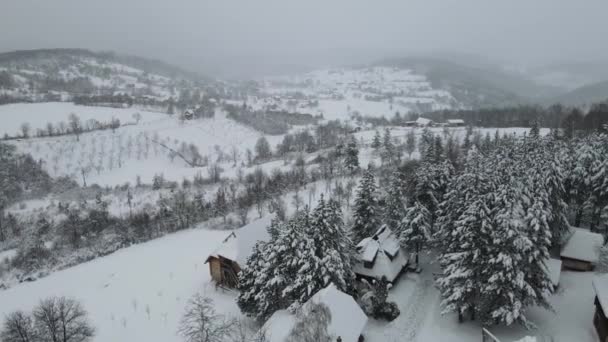 Snowy Mountain Aerial Panoramic Shot Wooden Cabin Forest Covered Snow — ストック動画