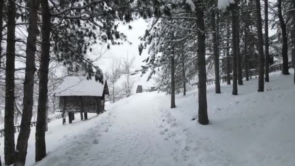 Drone Flies Snow Trees Wooden Cabin Covered Snow — Stock Video