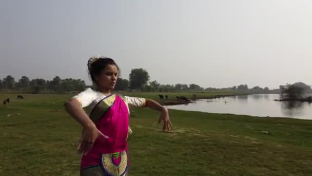 Bharatnatyam Dancer Displaying Classical Bharatnatyam Pose Nature Vadatalav Lake Pavagadh — Videoclip de stoc