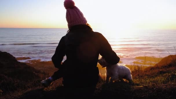 Wanita Dan Anjing Melihat Matahari Terbenam Dalam Siluet — Stok Video