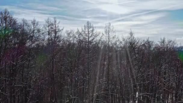 Unveiling Shot Some Trees Sunny White Winter Landscape Alp Mountains — Stockvideo