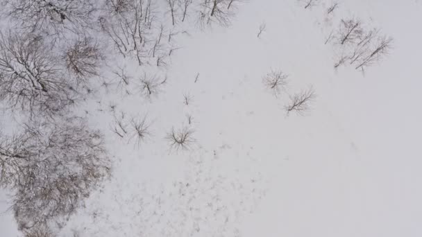 Drone Olhar Para Cima Tiro Uma Paisagem Branca Inverno Com — Vídeo de Stock