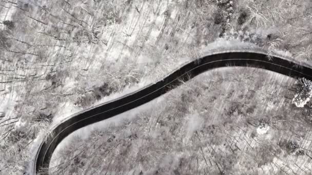 Smooth Drone Flight Winter Landscape Top Shot Looking Forest Bending — Video