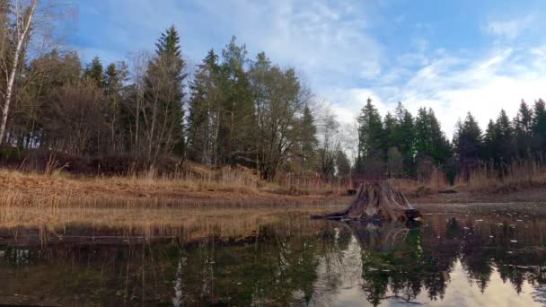 Timelapse Idyllic Nature Scenery Clouds Flowing Lake Lonely Tree Trunk – stockvideo