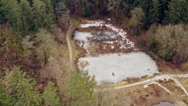 Беспилотник Poi Снимает Замерзшее Озеро Лесу Зелеными Хвойными Деревьями Вращая — стоковое видео