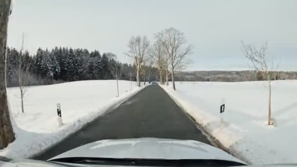 Driving Car Winter Wonderland Avenue Snow White Fields Car Drivers — Stock videók