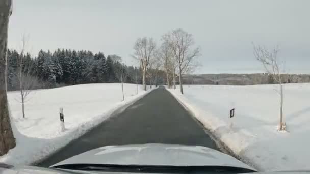 Driving Fast Winter Landscape Avenue Full Snow Covered Trees Next — Stock Video
