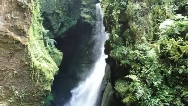 Captivating Beauty Waterfall Jungle Sunny Day Zoom Out — Video Stock