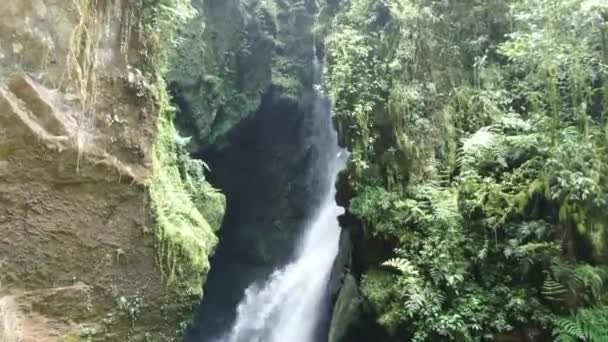 Beautiful Waterfall Green Forest Vegetation Tilt Shot — Stockvideo