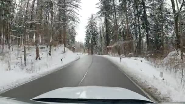 Winter Trip Driving Car Curvy Road While Sun Shining Front — Stockvideo