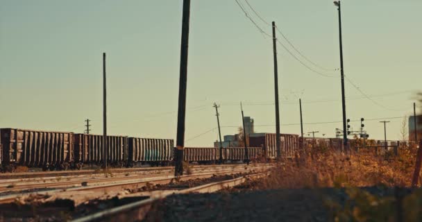 Freight Train Cargo Cars Parked Abandoned Industrial City Railway Yard — Stockvideo