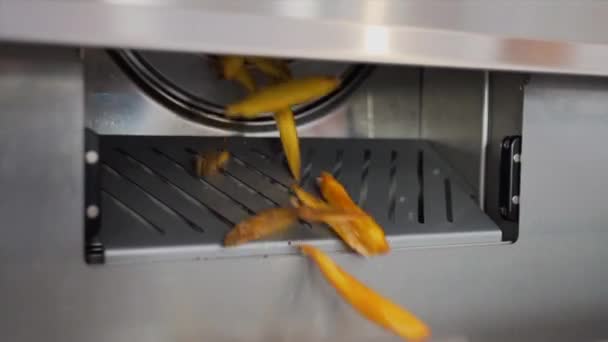 French Fries Falling Out Fryer Slow Motion — Vídeos de Stock