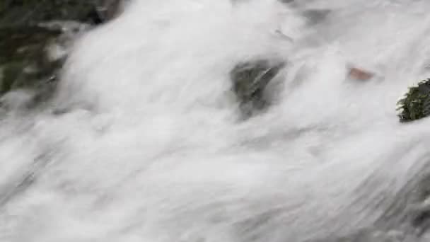 Close Fast Flowing Water Stream — Video Stock