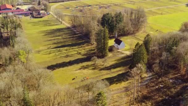 Green Farmland Horses Church Southern Bavaria Captured Look Shot Dolly — Video Stock