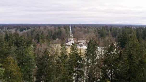 Vol Drone Vers Arrière Dessus Une Forêt Verdoyante Avec Les — Video