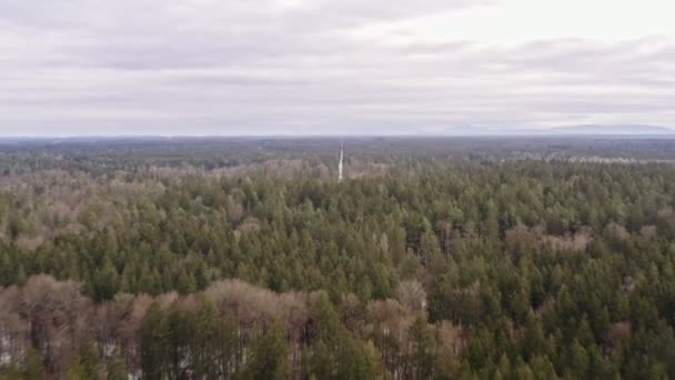 Flug Über Einen Großen Wald Und Speed Ramping Effect Ein — Stockvideo