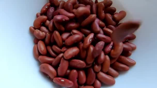 Raw Red Kidney Beans Grains Falling White Plate Static Close — Wideo stockowe