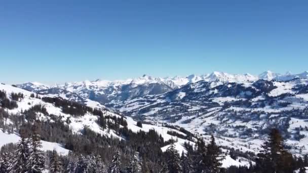 Let Dronem Nad Zasněženou Švýcarskou Alpskou Krajinou Jedlemi Popředí Perfektní — Stock video