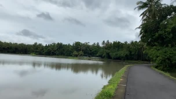 Rice Paddy Field Filled Water Surrounded Lush Vegetation Cangakan Tirtorahayu — Stockvideo