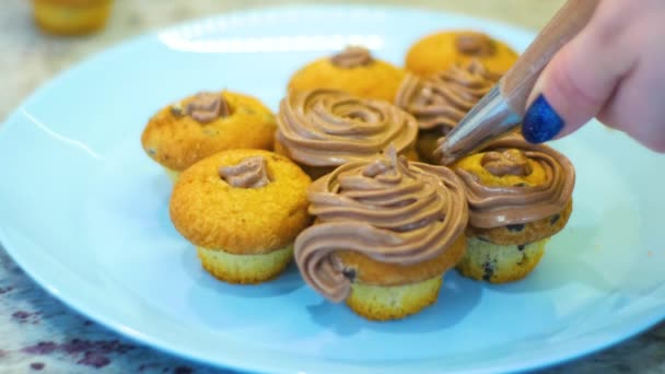 Close Woman Hands Decorating Cupcakes Chocolate Whipped Cream — Stock video