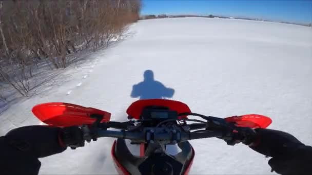 Snowbike Pov Rider Carving Edge Field Forest Fresh Powder — Stockvideo