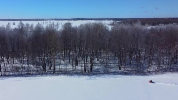 Різьблення Снігу Через Порошок Лісовому Краю Повітря — стокове відео