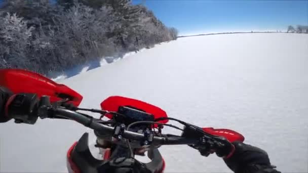 Snowbike Pov Riding Snowy Winter Forest Beautiful — Stock Video