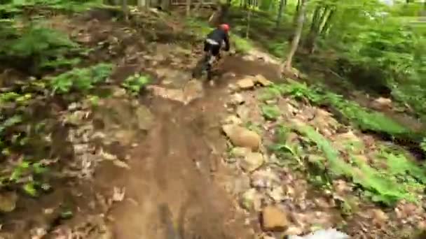 Mtb Pov Threading Needle Trees Rough Rocks Terrain — Stock Video