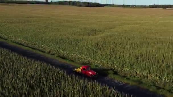 Vintage Red Truck Angled Reverse Flight Cornfields — Vídeo de Stock