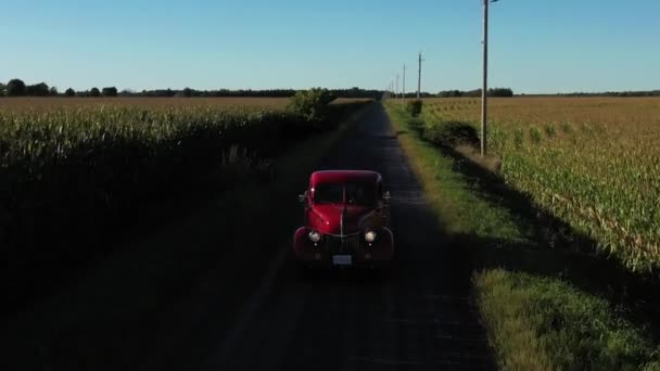 Vintage Red Truck Driving Cornfields Sunset Closeup Reverse Flight — 图库视频影像