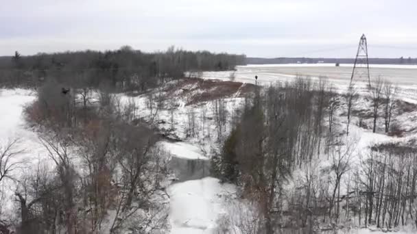 Bald Eagle Perched River Winter Aerial — Stockvideo