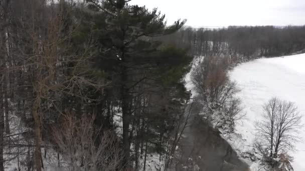 Лысый Орел Оставляет Окунь Высоко Над Зимней Лестницей — стоковое видео