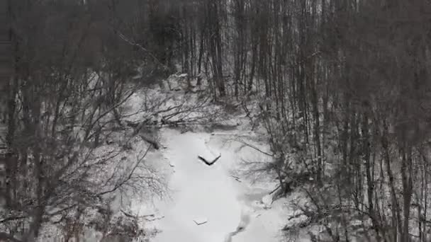 Bald Eagle Flying Winter River Rear Angle Follow Cam — 图库视频影像