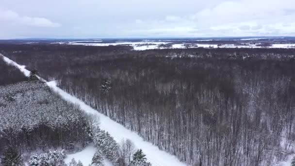 Traintracks Surrounded Desolate Winter Forest — Stock video