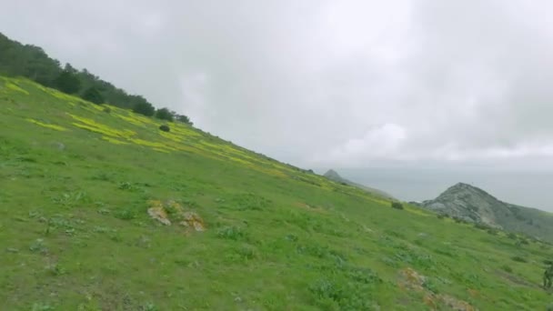 Dutch Angle View Meadow Pico Facho Portugal First Person Perspective — Vídeo de Stock