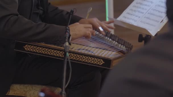 Telephoto Shot Male Artist Playing Percussion — Stockvideo