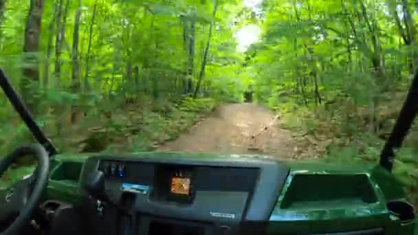 Utv Side Side Pov Passenger Seat Driving Forest — Wideo stockowe