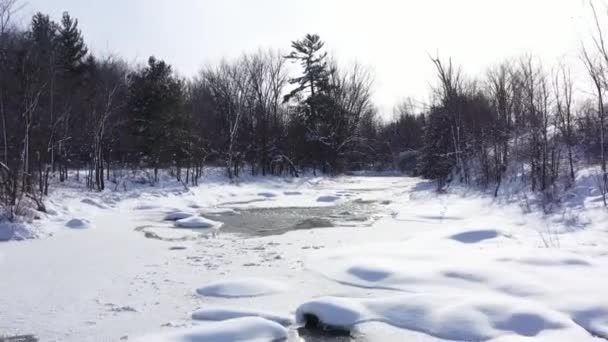 Stream Running Forest Covered Snow Low Flight Beauty — ストック動画