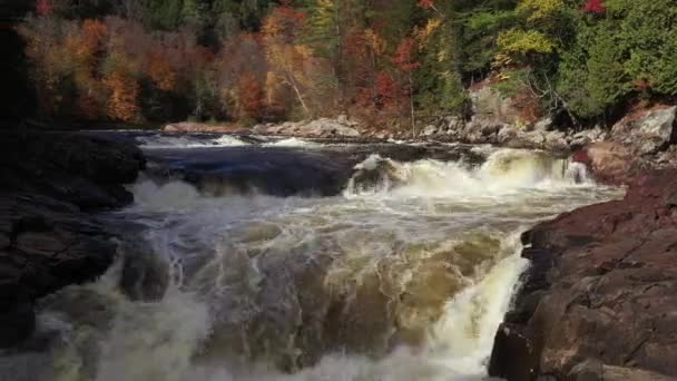 Rapids Waterfall Fall Colored Forest Low View Reverse Flight — Vídeos de Stock