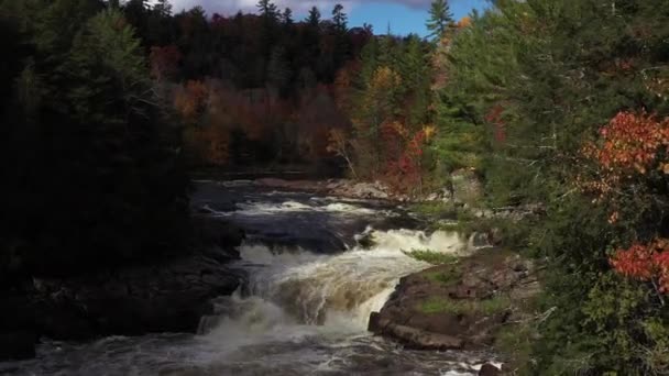 Rapids Waterfall Ascending View Fall Colored Forest Epic — Stockvideo