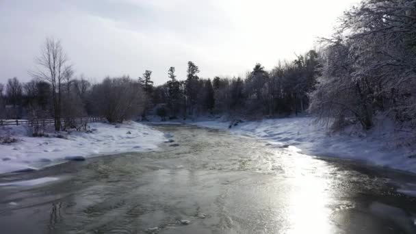 Winter Scene Beautiful Snow Trees Low Aerial Half Frozen River — Stock video