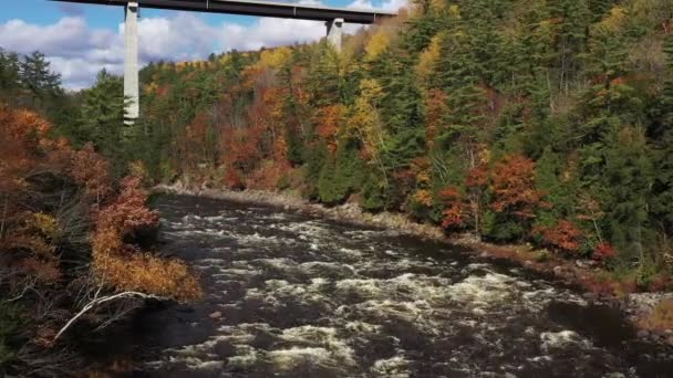 Rapids Running Bridge Revealed Trees Fall Colors — Vídeos de Stock