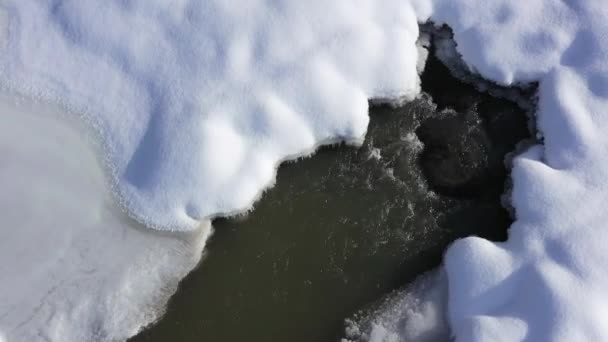 Stream Rushing Water Keep Winter Ice Snow Melted Overhead View — Stok Video